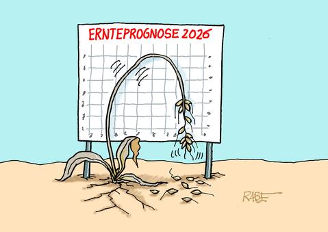 Der Hitzesommer in der Karikatur